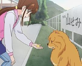 狗狗国际大赛